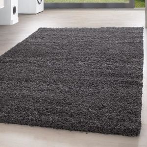 TAPIS Tapis Shaggy Shaggy Carpet - Gris - 80x250 cm
