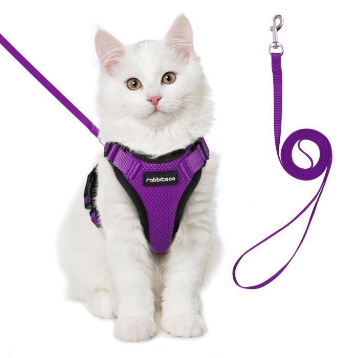 Meilleurs prix pour rabbitgoo Harnais Chat Anti-évasion avec Laisse Violet XXS Harnais Chaton Petit Chien Réglable Collier Harnais et Laisses