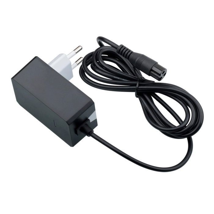 Chargeur 24V 1A pour Trottinette Electrique Adulte Scooter électrique Razor E300 E200 E100 PR200 MX350 Dirt Qu CHARGEUR DE BATTERIE