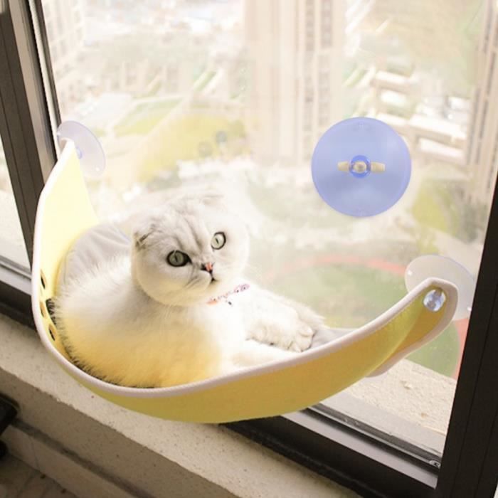 Ventouses Pour Hamacs De Fenetre Pour Chat Ventouses Pour Ventouse De Fenetre Pour Chat Remplacement Des Ventouses Achat Vente Ventouses Pour Hamacs De Fenet Prolongation Soldes Cdiscount Ventouses Pour Hamacs De Fenetre Pour Chat Ventouses Pour Ventouse De Fenetre Pour Chat Remplacement Des Ventouses Achat Vente Ventouses Pour Hamacs De Fenet Prolongation Soldes Cdiscount