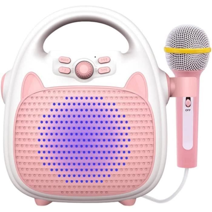 Mini karaoké portable avec 2 microphones