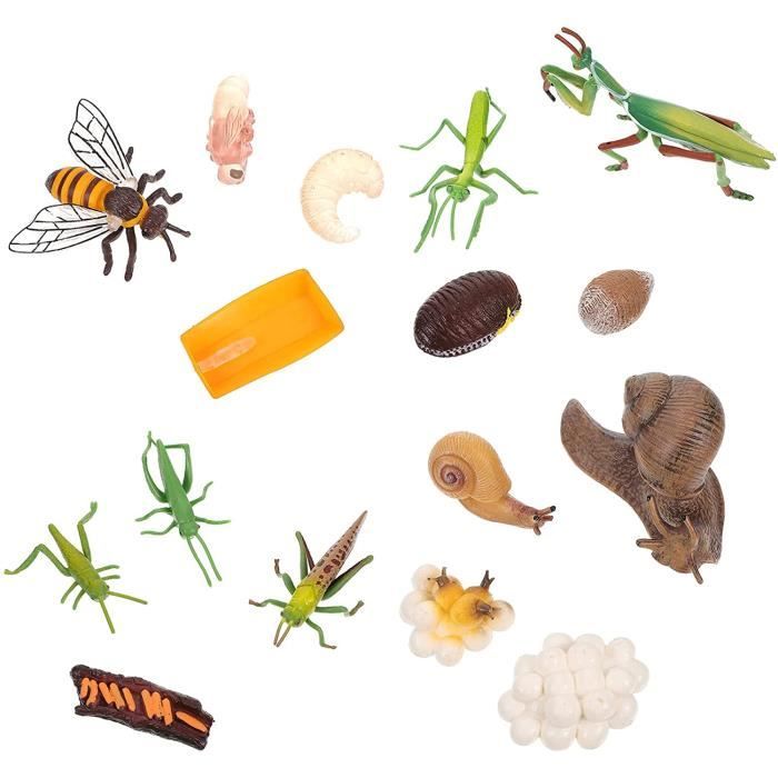 WINOMO 4 Ensemble Cycle De Vie des Animaux Jouets Abeille Mante Religieuse Pegravelerin Escargot WINOMO 4 Ensemble Cycle De Vie des Animaux Jouets Abeille Mante Religieuse Pegravelerin Escargot