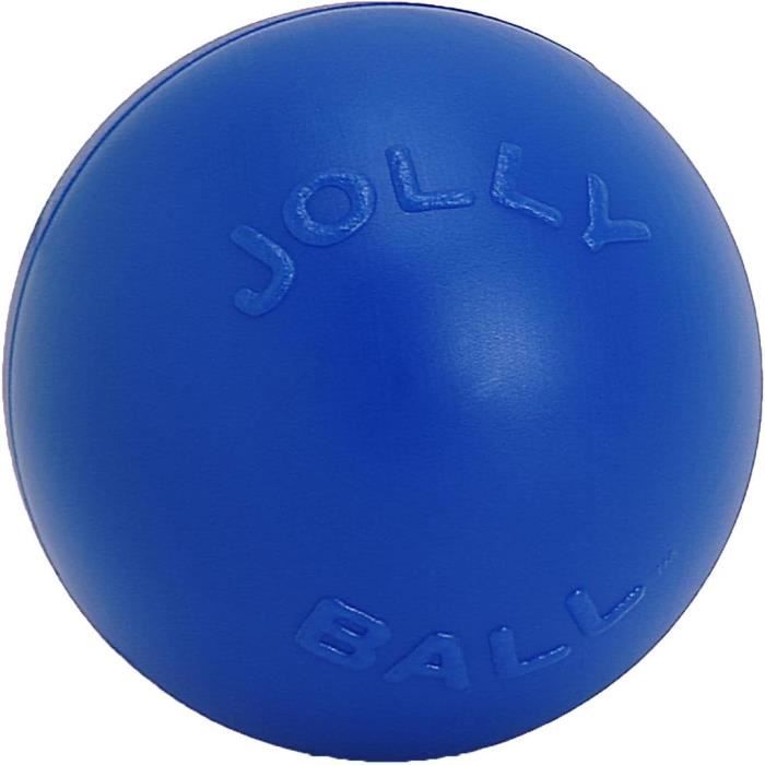 Ball Push-N-Play Jouet Pour Chien Bleu 25 Cm[n499] - Cdiscount