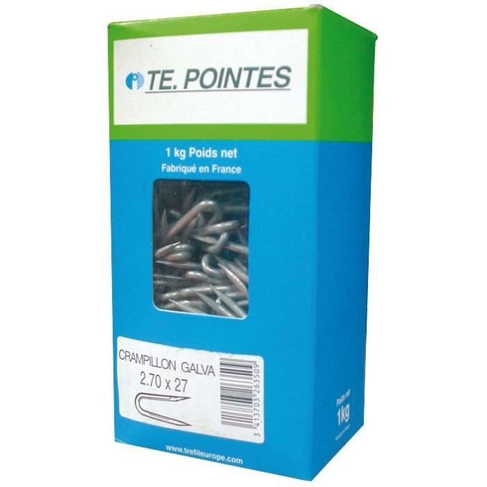 TE. POINTES Crampillons galvanisés - 27x2,7 mm - Boîte de 1 kg
