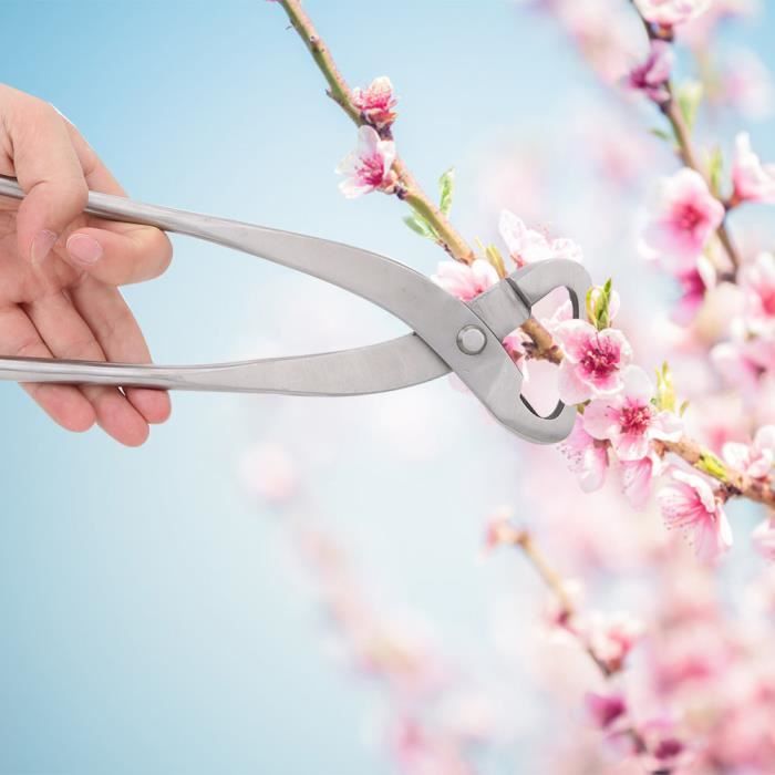 Fendeur De Tronc Pour Bonsaï - Alliage Acier Manganèse | Outil Professionnel Pour Jardinage