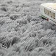 50X80CM,Tapis Salon Shaggy Poils Rectangulaire Tapis Chambre Ultra Doux Anti Slip Moquette Moderne Tapis de Maison Gris argent-1