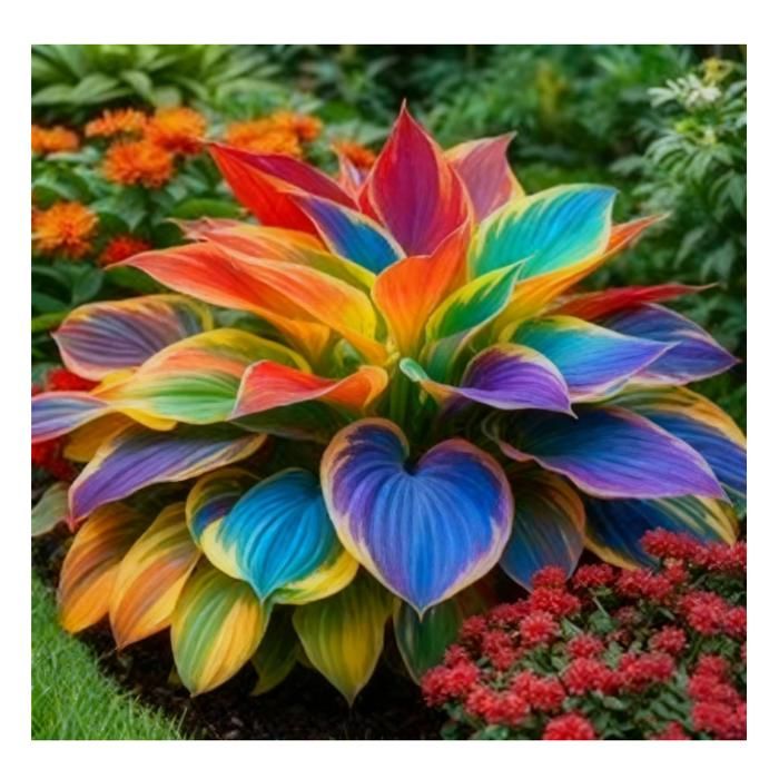Lot de 200 graines d'Eustoma rares de couleurs mélangées pour plantes vivaces Lisianthus Graines de fleurs bonsaï pour la maison et le jardin Lot de 200 graines d'Eustoma rares de couleurs mélangées pour plantes vivaces Lisianthus Graines de fleurs bonsaï pour la maison et le jardin