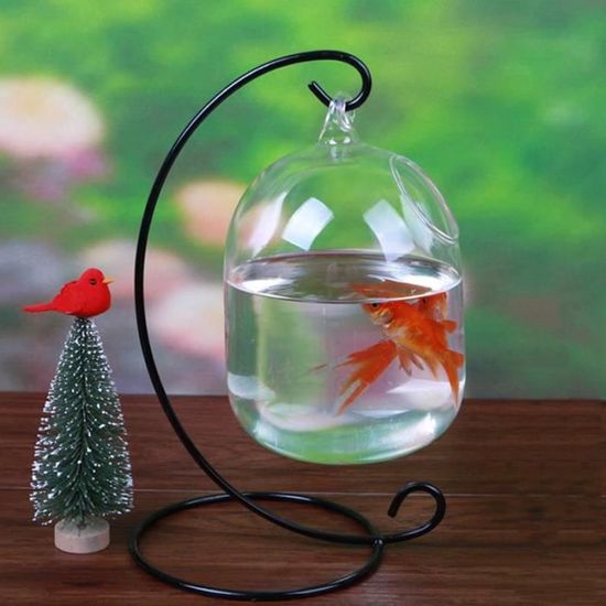 Aquarium Boule De Poisson Rouge Suspendue Ecosphere Aquarium Reservoir De Poisson Bol De Fleur Plante Bol De Table Type Bleu Cdiscount Animalerie Aquarium Boule De Poisson Rouge Suspendue Ecosphere Aquarium Reservoir De Poisson Bol De Fleur Plante Bol De Table Type Bleu Cdiscount Animalerie