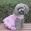 M Se Leva Robe De Princesse En Dentelle Pour Chiens Rose Achat Vente Robe Jupe M Jupe Pour Chien Rose Cdiscount
