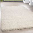 Grand Tapis Salon 300x400 Shaggy Shaggy Long Pile Pas Cher Creme Tapis Salon Versc Tailles 120x170 Cm Achat Vente Tapis Cdiscount