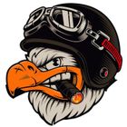 FRANCE EN STOCK Autocollant aigle vintage Sticker pour auto, moto, casque, tuning, camion, réservoir…