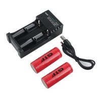2 pcs GIF 8800mAh piles avec Rechargeable Chargeur Pour Lampe de Poche Universelle Batterie De Remplacement