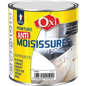Peinture Anti Condensation Mur Et Plafond Mat 2 5 L Blanc Achat Vente Peinture Vernis Ptr Anti Condensation 2 5l Blc Cdiscount