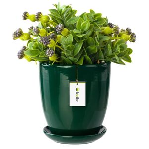 Lot De 10 Soucoupes Pour Pots De Fleurs 21cm - Transparentes, Fond Nervuré Aéré, Anti-déversement, Intérieur/extérieur - 7