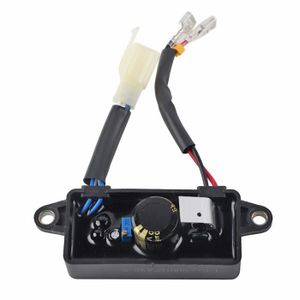 Générateur avec Manivelle et Régulateur de Voltage - RobotShop