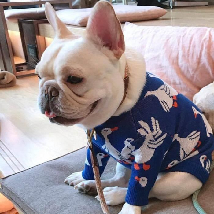 Pull pour chien motif de canard bouledogue francais coreen vetements d hiver pour chien Chihuahua 20859D2 Cdiscount
