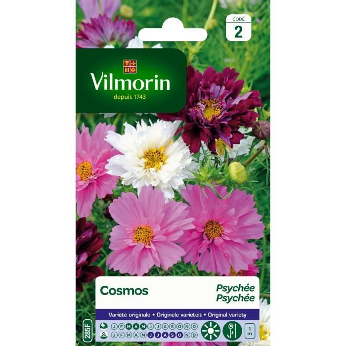 VILMORIN Cosmos Psychée varié