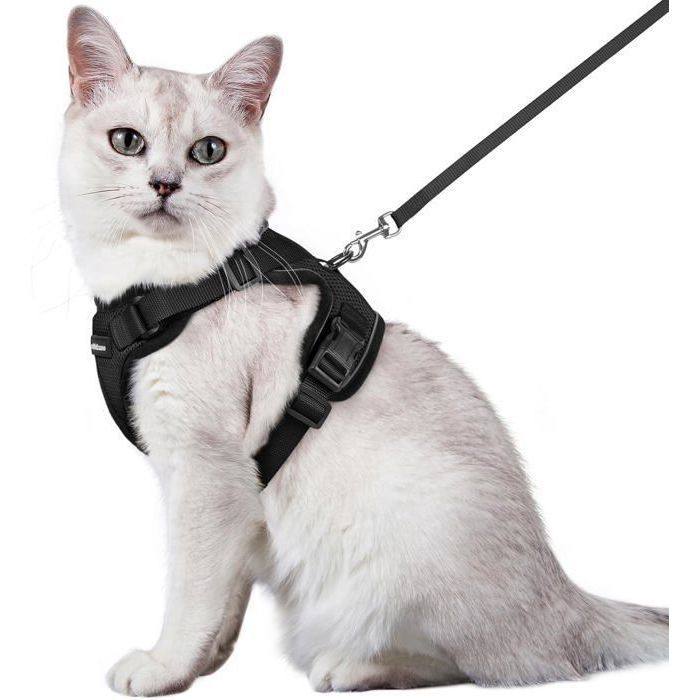 Meilleurs prix pour Harnais Chat Anti-évasion avec Laisse Noir M Harnais Chaton Petit Chien Réglable Collier Harnais et Laisses pour Chat Refléchissant