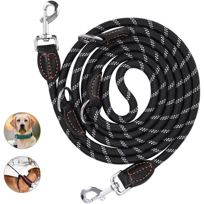 Laisse pour Chien de Grande et Moyenne Taille,Laisse pour Chien, Laisse à Double Extrémité 3M,Laisse avec 2 Mousquetons et 3 Anneaux