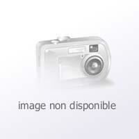 Aquarine Bdsf Sas Pied Prefixe Chrome Ht 25cm Achat Vente