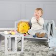 ROBA Ensemble Table et 2 Chaises Enfant - Convertible en Banc et Tabouret - 3 Hauteurs - Style Maison de Campagne - Bois Gris-1