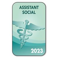 Autocollant Sticker - Vignette Caducée 2023 pour Pare Brise en Vitrophanie - V2 Assistant Social 