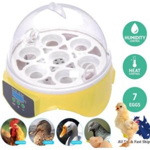 Incubateur automatique pour 41 œufs avec régulateur dhumidité et inverseur intégré pour lincubation doies oiseaux et poules. 