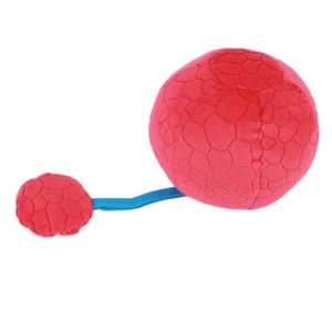 Balle Bebe Ballon Bebe Pas Cher Cdiscount Com