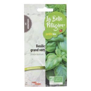 GRAINE - SEMENCE Graines à semer - Basilic grand vert - 0,5 g