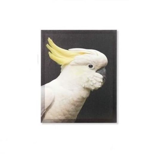 Cadre Toile Tableau Cacatoes Blanc Et Jaune Perroquet Oiseau Exotique 50 X 40 Cm Cdiscount Maison