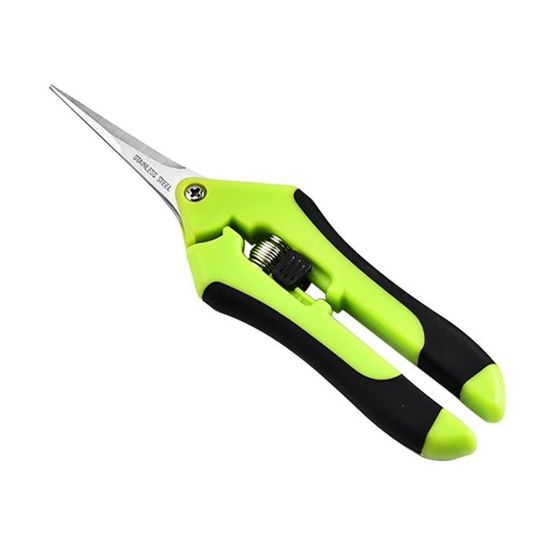Sécateur,Ciseaux de jardin, outils de taille, coupe de précision avec verrouillage de sécurité, cisailles droites en - Type green
