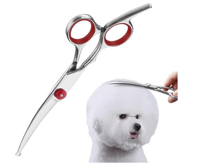 Ciseaux Toilettage ChienCiseaux Toilettage Chien ProfessionnelCiseaux Courbés pour Animaux de Compagnie avec Bout Rond de