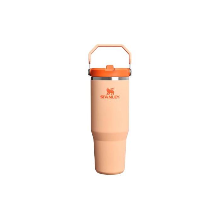 Gourde - STANLEY - Flip Straw Tumbler (1913) - 089 L - Isolation sous vide 12h/48h - Paille intégrée Gourde - STANLEY - Flip Straw Tumbler (1913) - 089 L - Isolation sous vide 12h/48h - Paille intégrée
