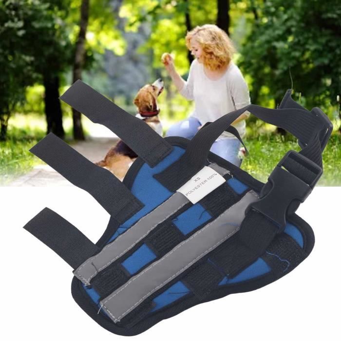 Attelle de jambe arrière pour chien L