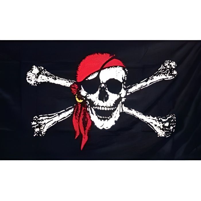 Drapeau Les Pirates Resistant Exterieur 90x150 cm 1 Drapeaux de Pirate  bannière des Couleurs résistantes à l'extérieur Pirate 92 - Cdiscount Maison