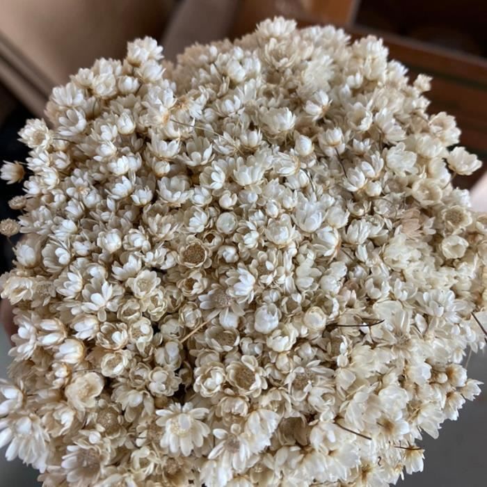 140pcs - blanche - Vraies fleurs séchées en résine époxy, 140-650 pièces,  artisanat d'art Diy, fabrication de - Cdiscount Maison