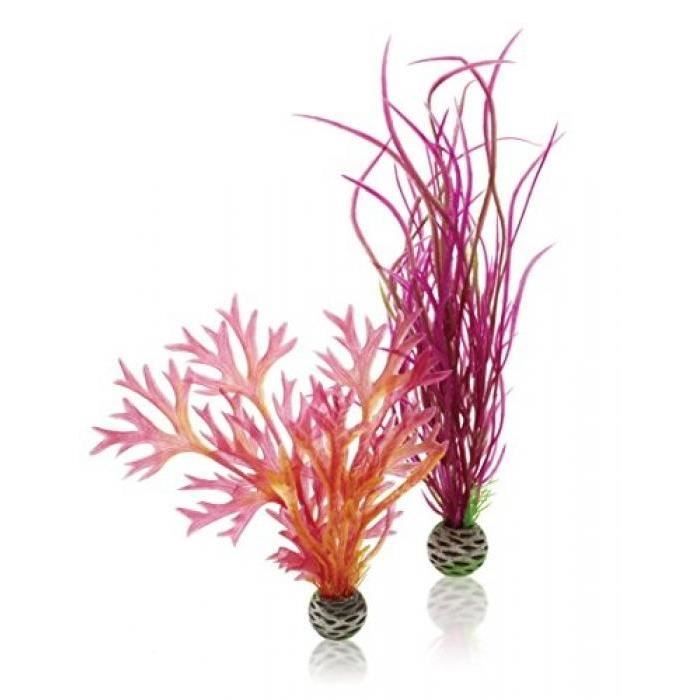 Meilleurs prix pour BIORB PLANTES COLORÉES MOYENNES ROUGE/ROSE