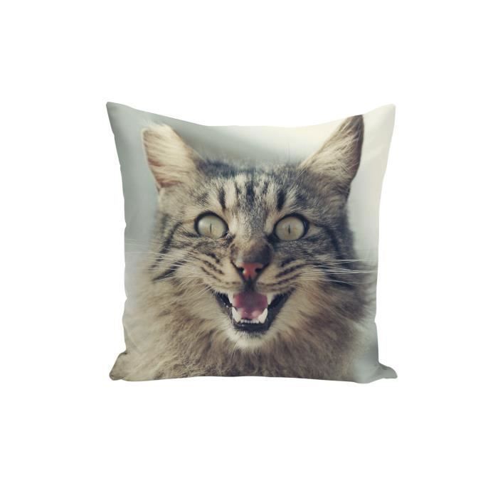Housse De Coussin Chat Brun Tigre Qui Parle Mignon Animaux 40x40cm Cdiscount Maison