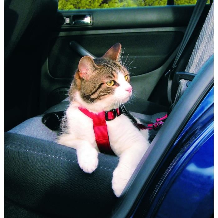 Trixie Harnais Pour Voiture Pour Chat Achat Vente Harnais Animal Ceinture De Securite Cdiscount