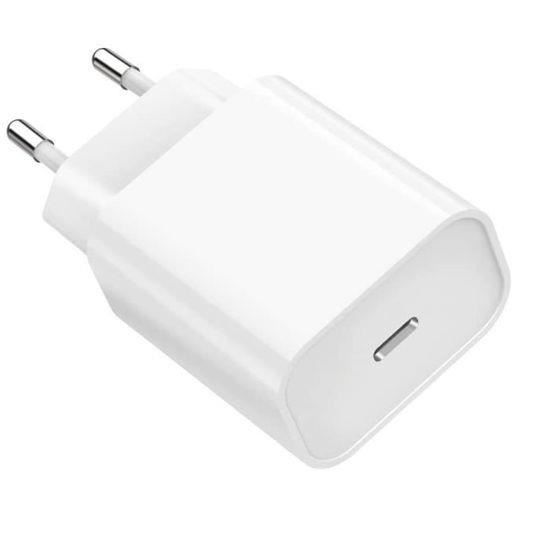 ARCCRA Chargeur iPhone Charge Rapide et 2X Câbles Lightnin 2m, Embout  Chargeur USB C 20W, Prise Adaptateur Secteur 2 Ports (PD/QC), Compatible  avec