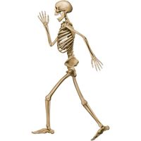 Décoration squelette marchant d'Halloween beige 94 cm