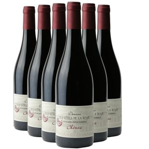 VIN ROUGE Domaine les Côtes de la Roche Chénas 2022 - Vin Ro