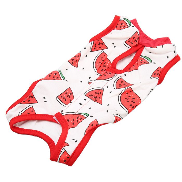 Meilleurs prix pour SURENHAP Costume de récupération de chat Combinaison de récupération pour chat après une chirurgie vêtements M pour 150-155 cm