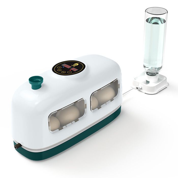 Lampe LED automatique pour éclosion de œufs Blanc jouet éducatif pour enfants mini incubateur domestique à 8 places
