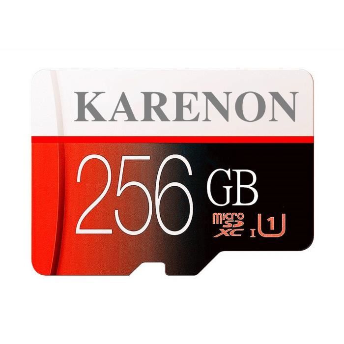 Carte M/émoire SD 256 Go Classe 10 256GO Larenzon Carte Micro SD 256 go Adaptateur SD FI50-HX