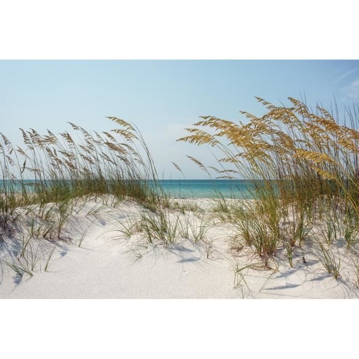Wallpaper Papier Peint Photo Intisse 211022 Plage De Sable 400x260cm 8 Les For Android