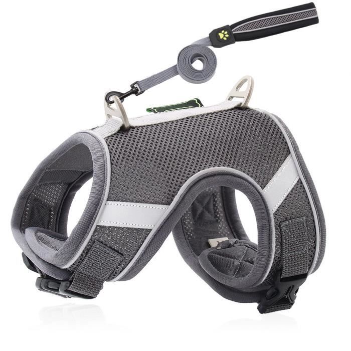 Comparer les prix de Leytn® Harnais pour chien avec laisse chien pour Chiens de Petits Moyenne - L