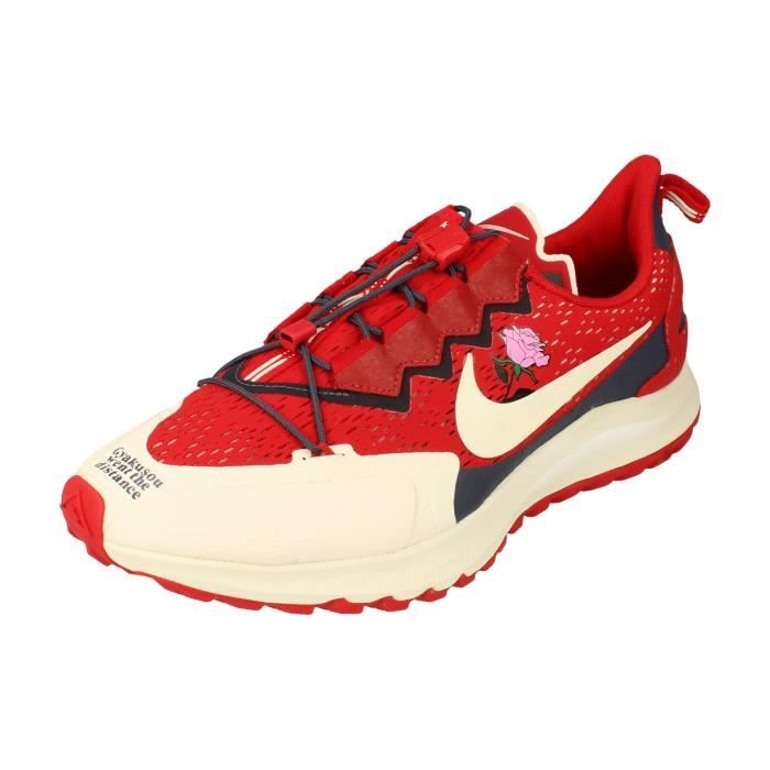 nike pegasus homme running