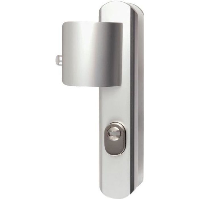 Poignee De Porte Paliere Argent Cle I Secumax Vachette