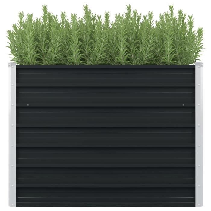 Vidaxl Jardinière surélevée 100x100x77 cm